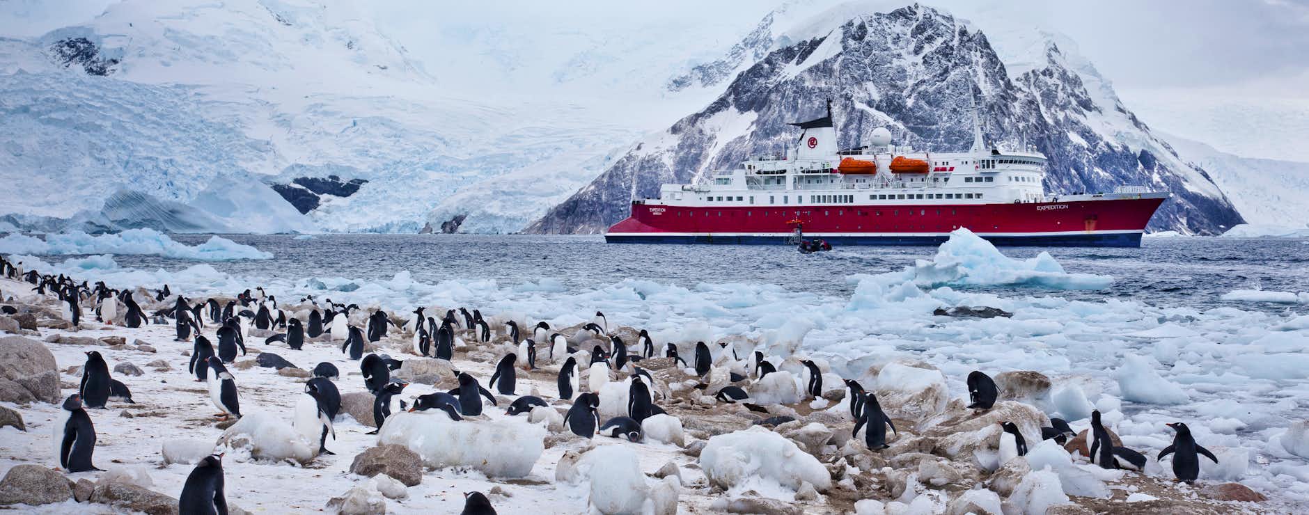 Best Antarctica Cruises 2025 Prices