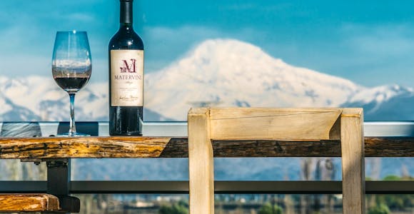 Red wine in Mendoza with view to Aconcagua
