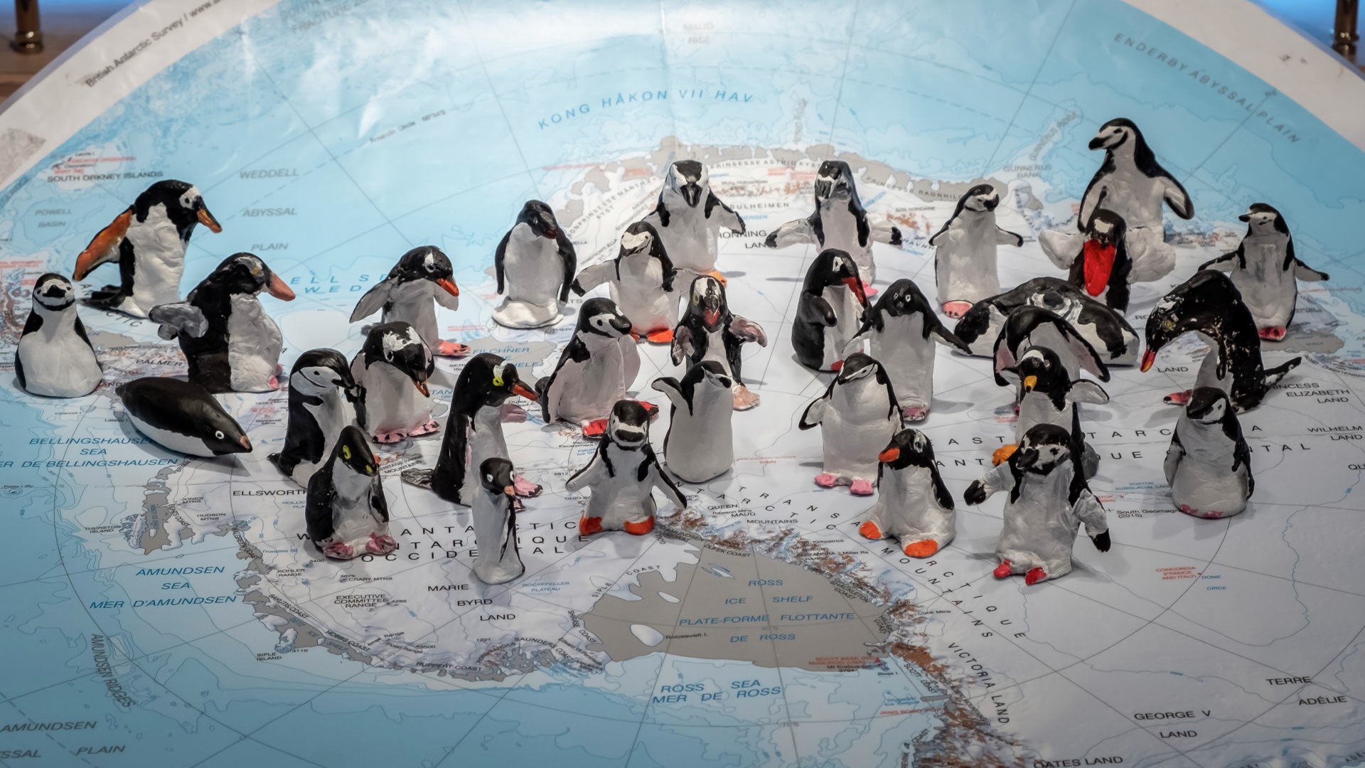 Painted penguins in an arts and crafts class on an Antarctic ship 