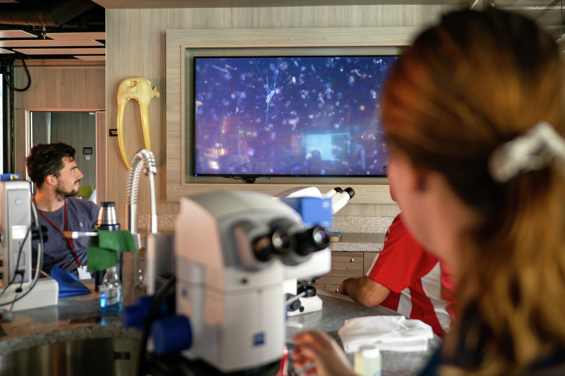 The Antarctic ship Roald Amundsen's Science Centre 