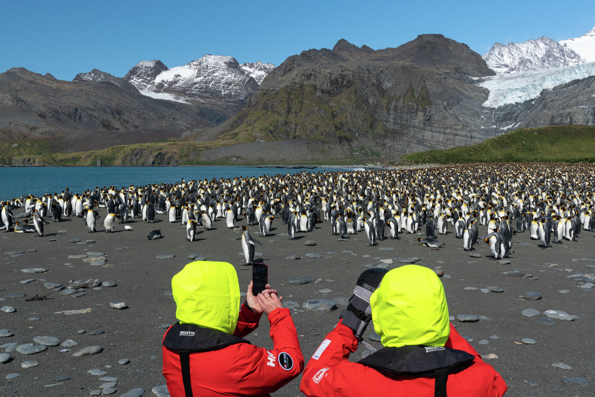 Two travellers take pictures of South Georgia's king penguins 