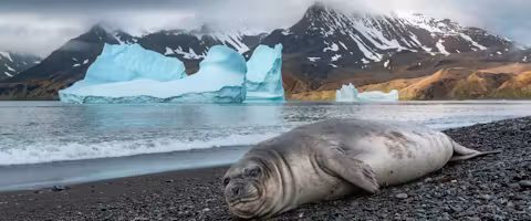Antarctica, Falklands & South Georgia Redefined