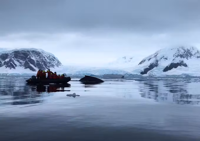 Watching humpback whales from the Zodiac, Wilhelmina Bay, Antarctica