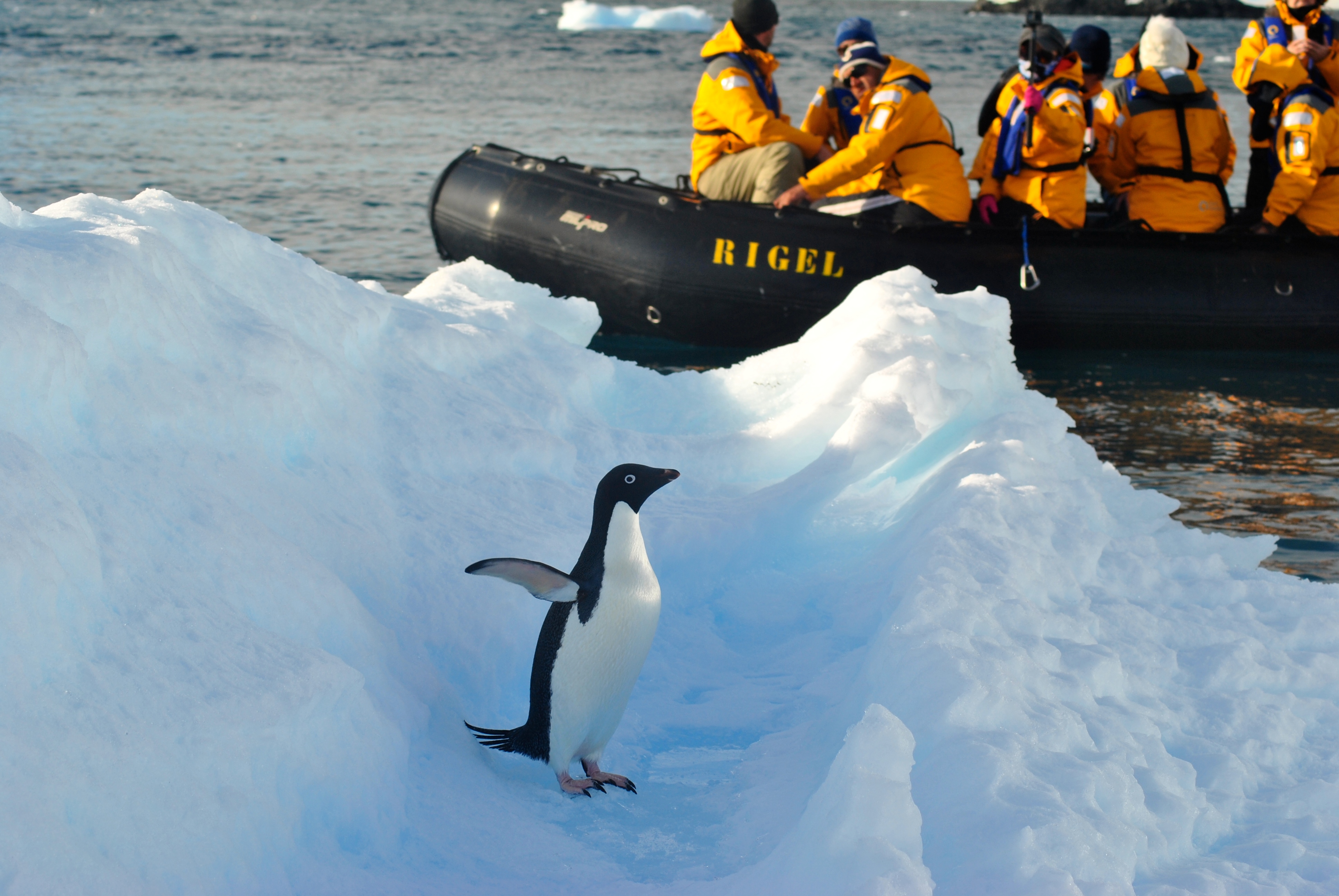 What to expect in Antarctica