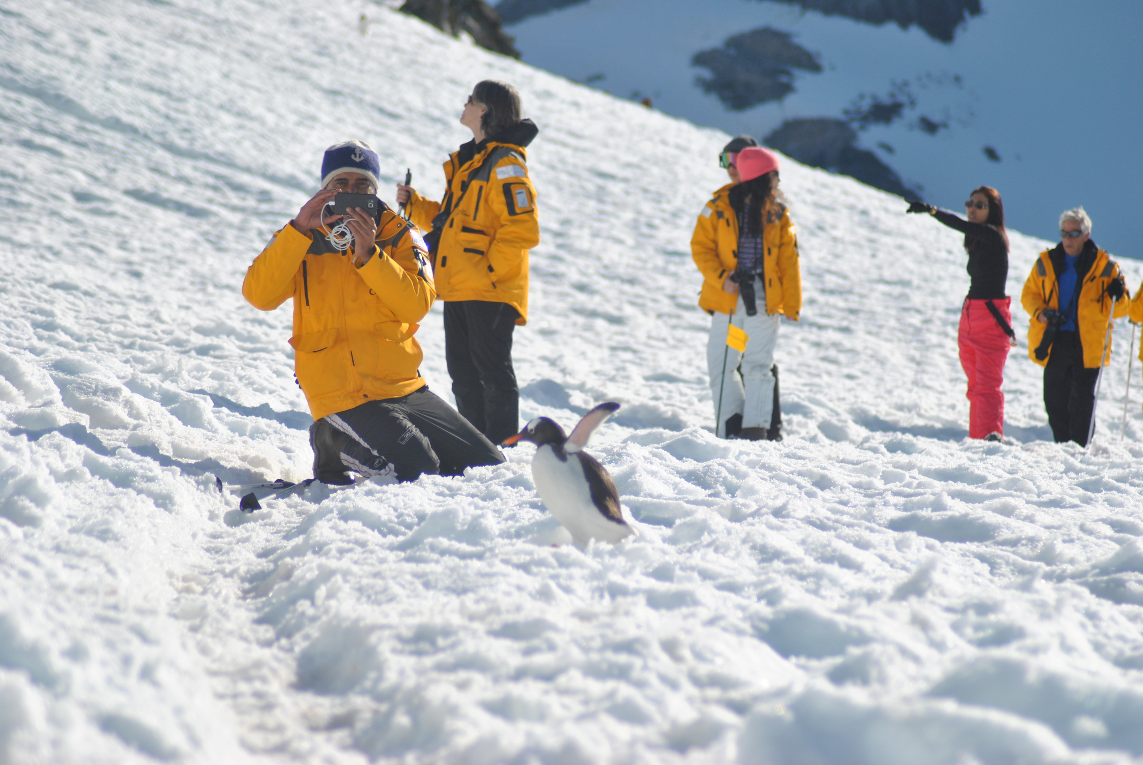 Capturing close-ups of penguins