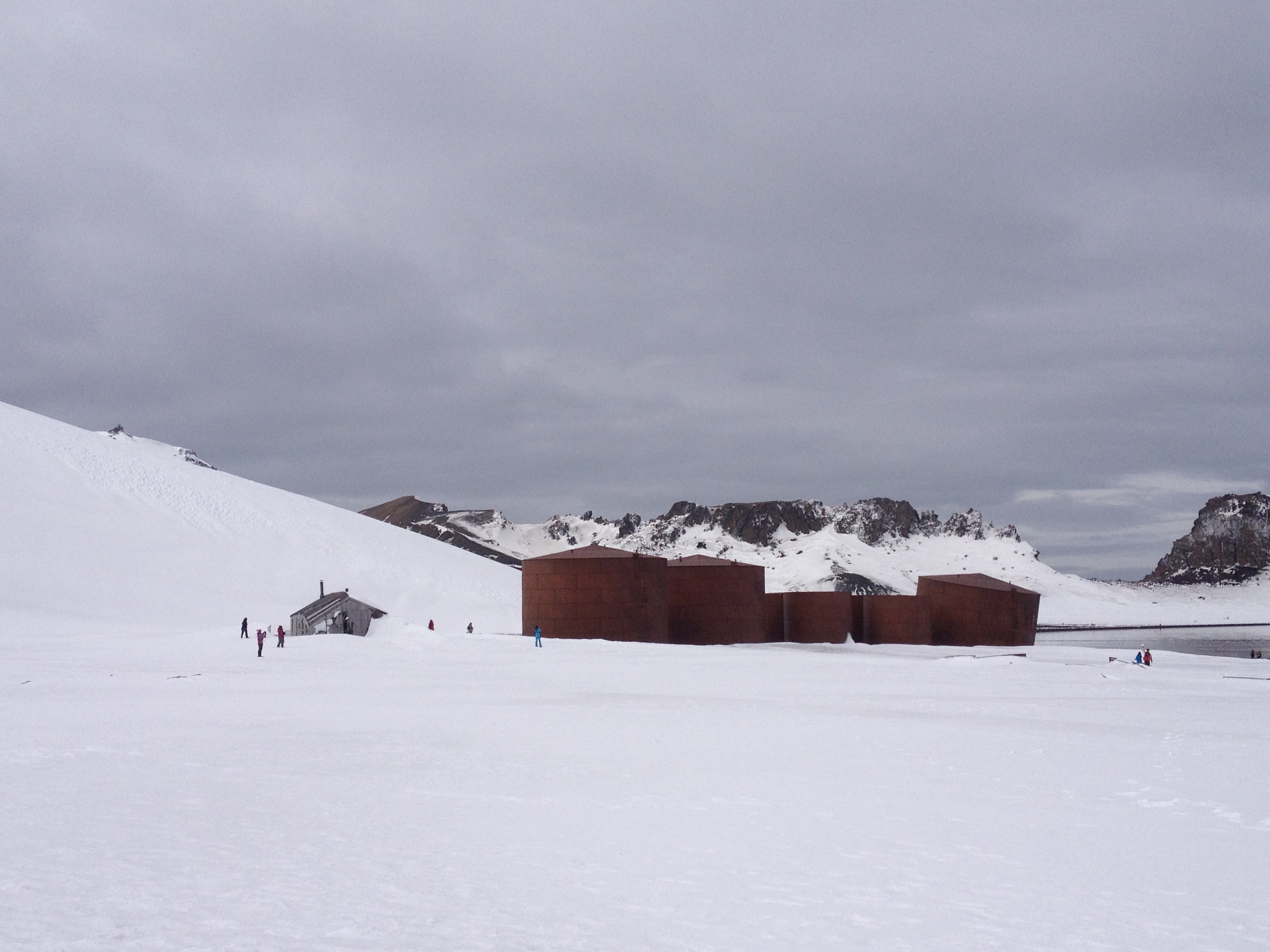 Antarctica in November