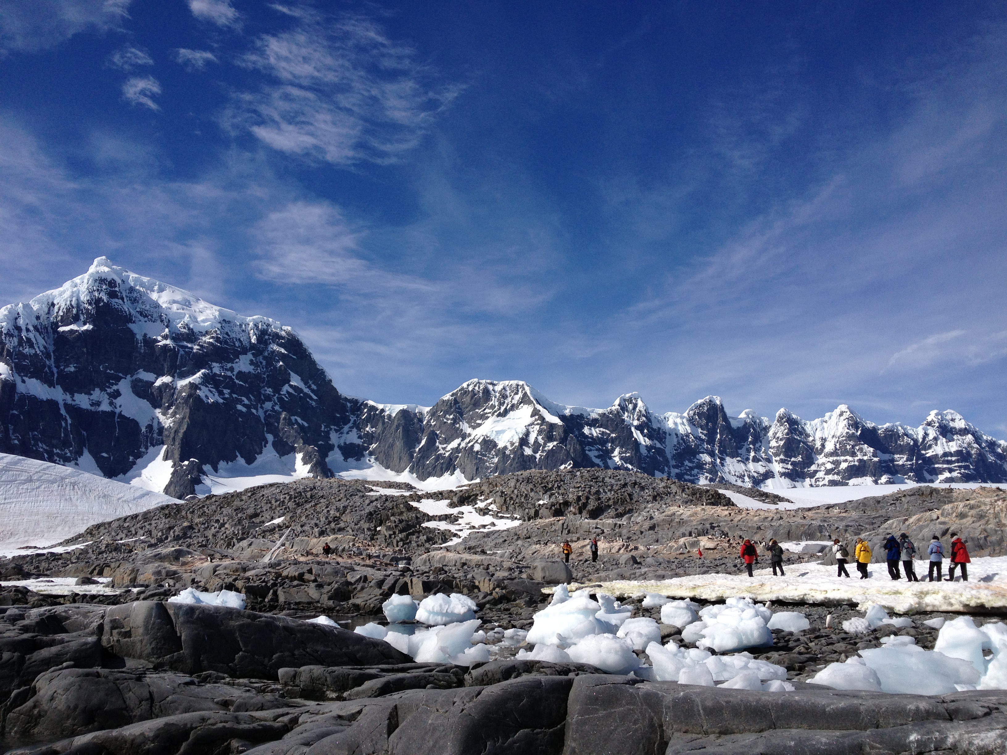 Gentoo penguin rookery,  Pleneau Island, Antarctica
