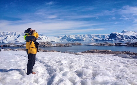 Antarctica Cruises offer the chance to explore the White Continent