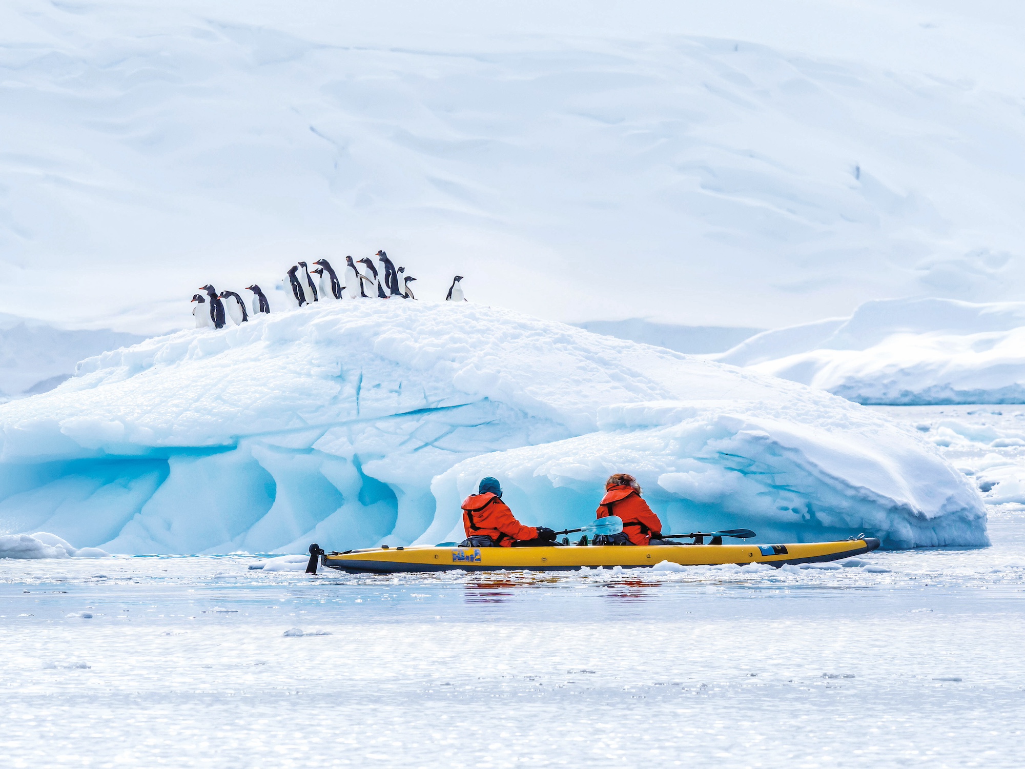 Kayaking beside penguins in Antarctica