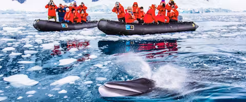 Explore the Antarctic Peninsula
