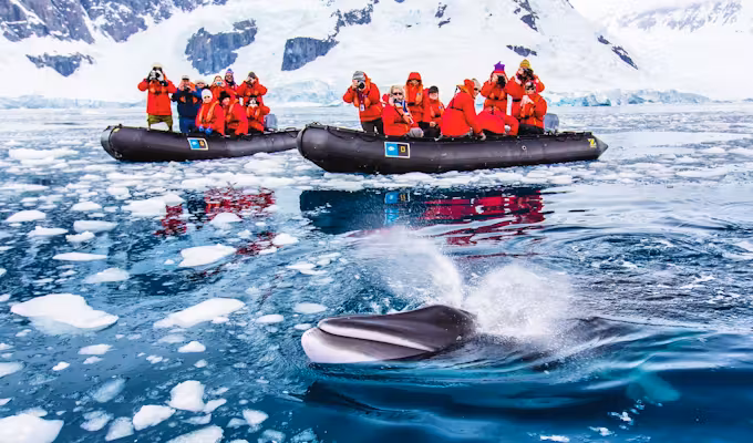 Explore the Antarctic Peninsula