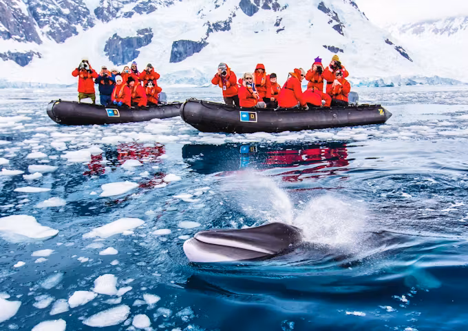Guests spot a whale from two zodiac boats in Antarctica