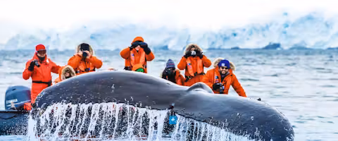 Antarctic Express Fly & Cruise