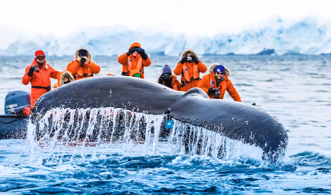 Antarctic Express Fly & Cruise