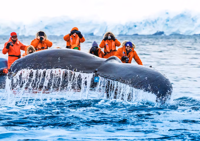Guests exploring by zodiac boat see a humpback whale dive and show off his fluke at Paradise Harbor, Antarctica
