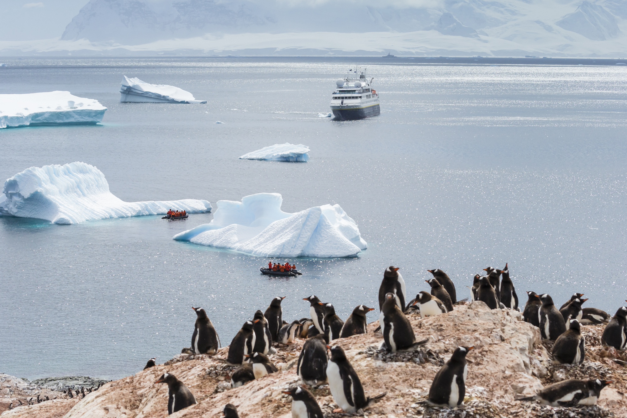 The Orion ship in Antarctica with penguins in the foreground 