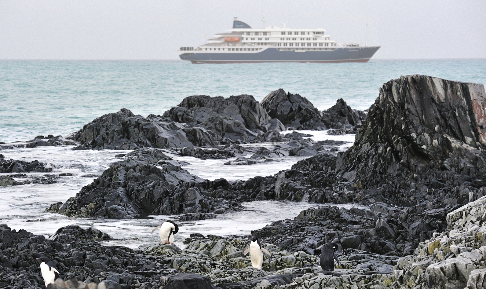 An Antarctic ship cruises past penguins standing on a rocky shoreline