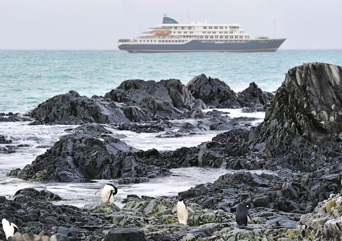 An Antarctic ship cruises past penguins standing on a rocky shoreline