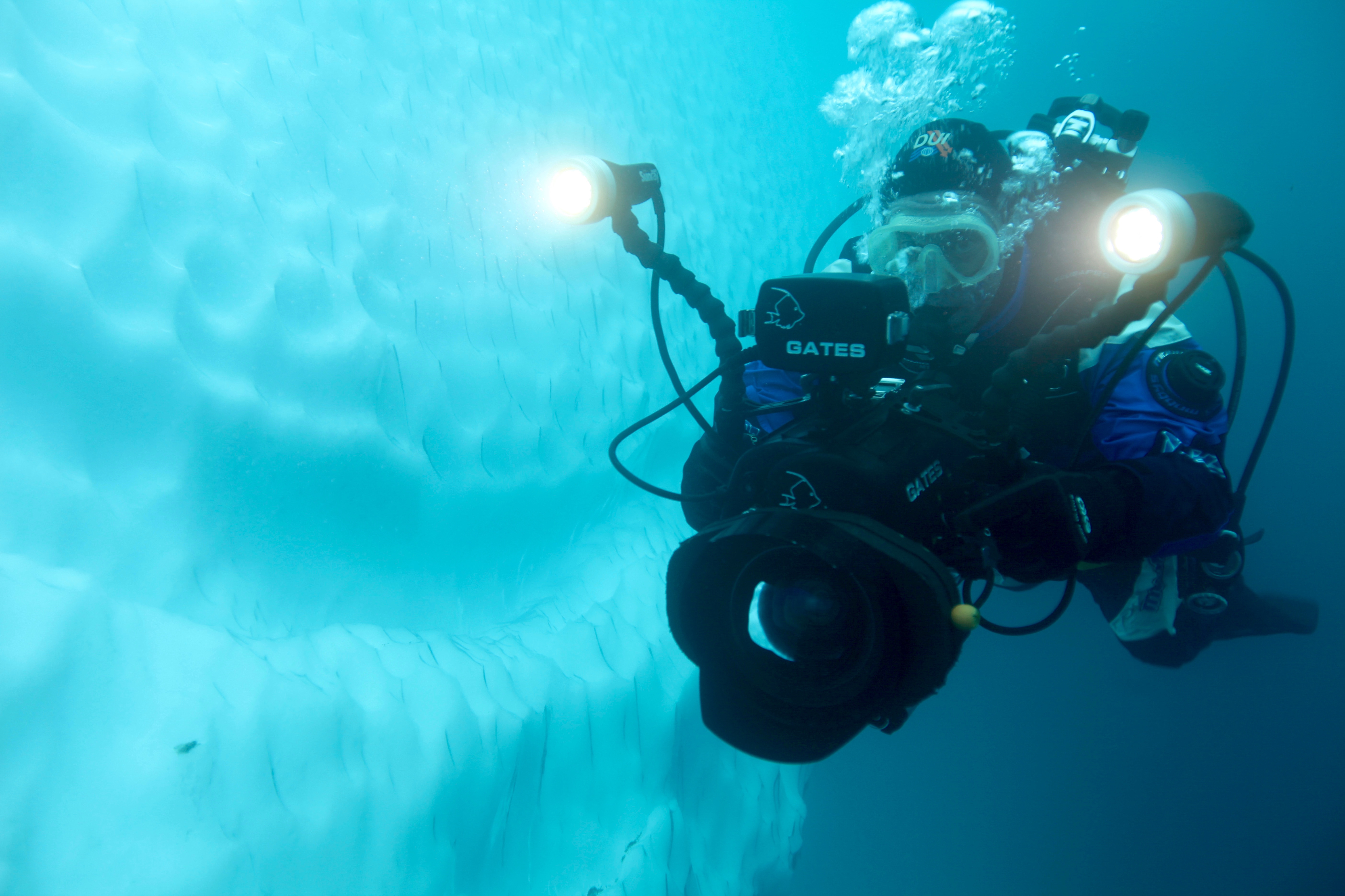 Antarctic Adventure Activities