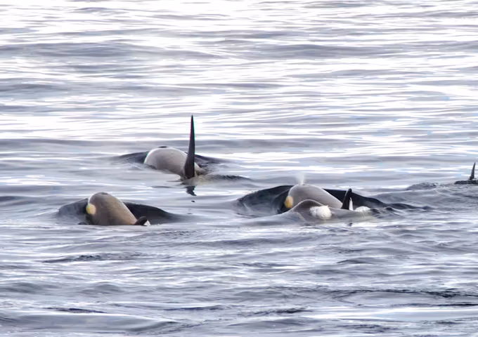 South of the Antarctic Circle