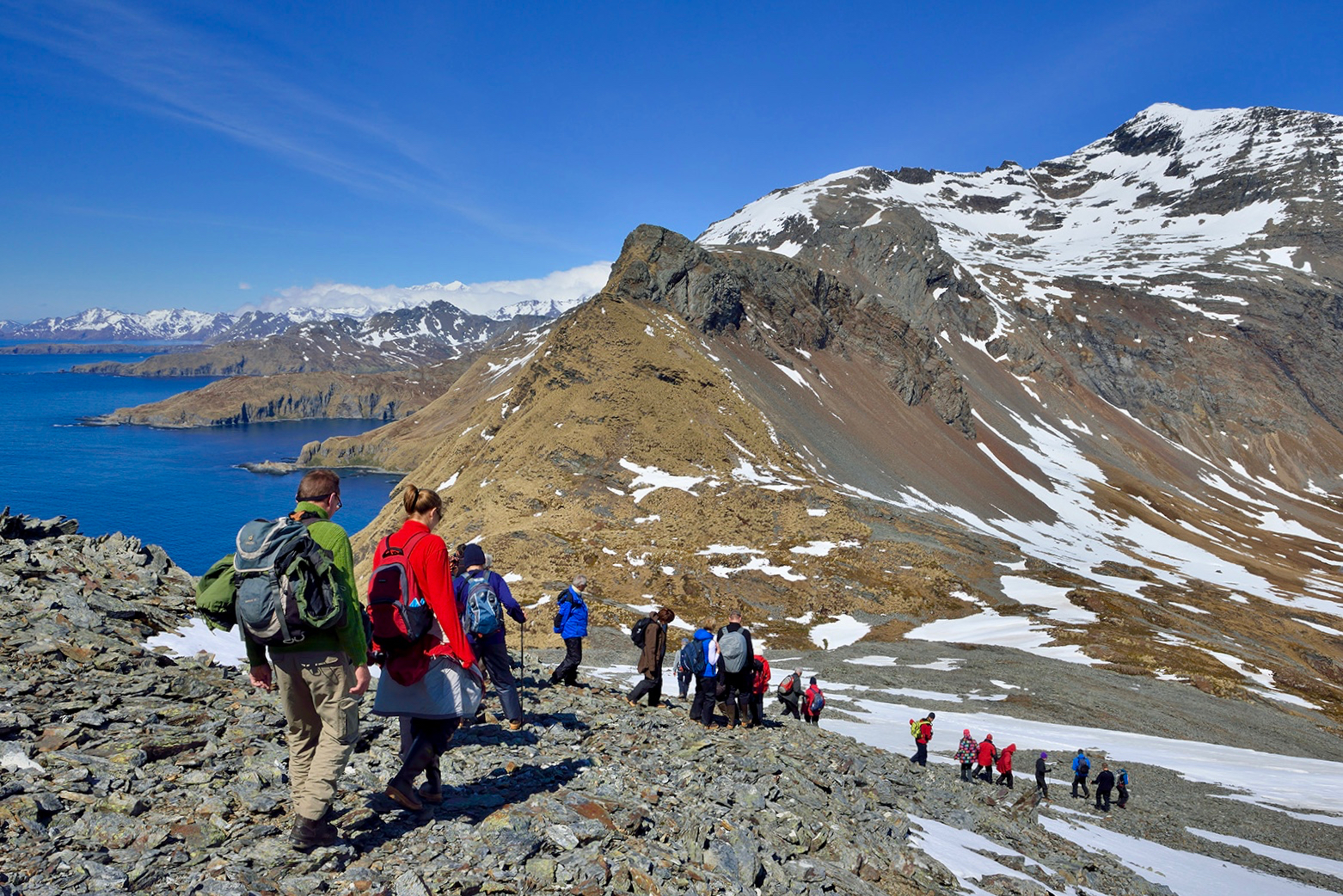 Falklands, South Georgia & Antarctic Adventure