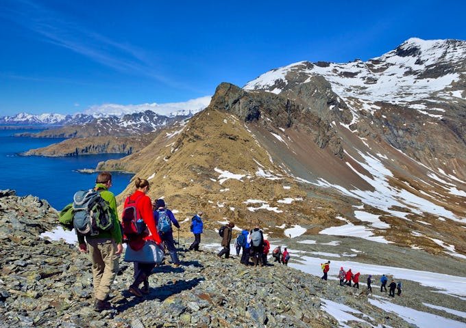 Falklands, South Georgia & Antarctic Adventure