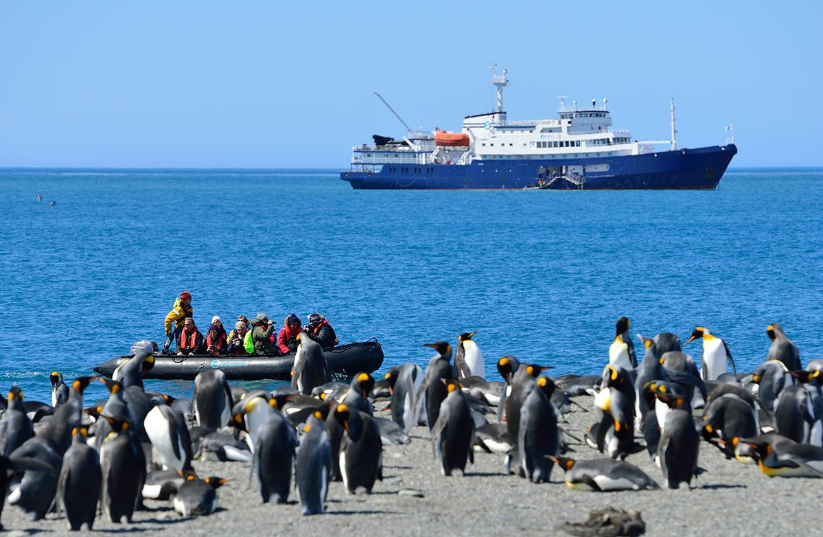 Falklands, South Georgia & Antarctic Adventure