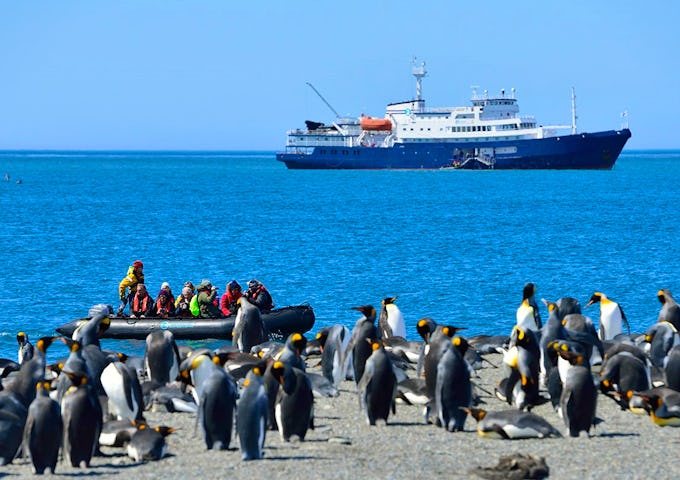 Falklands, South Georgia & Antarctic Adventure
