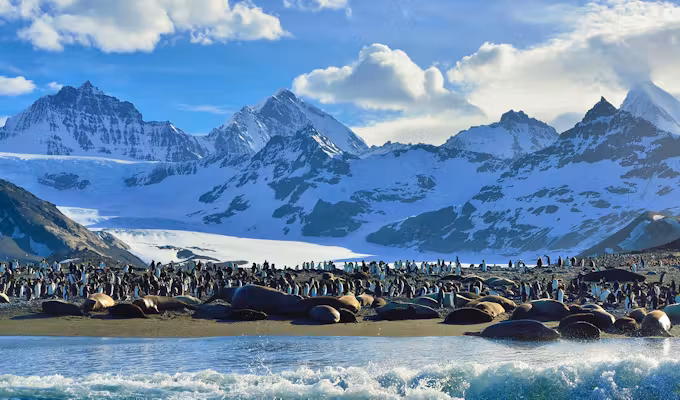 Spring Quest to Antarctica, Falklands and South Georgia