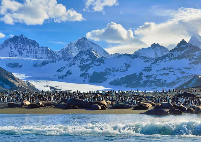 Spring Quest to Antarctica, Falklands and South Georgia
