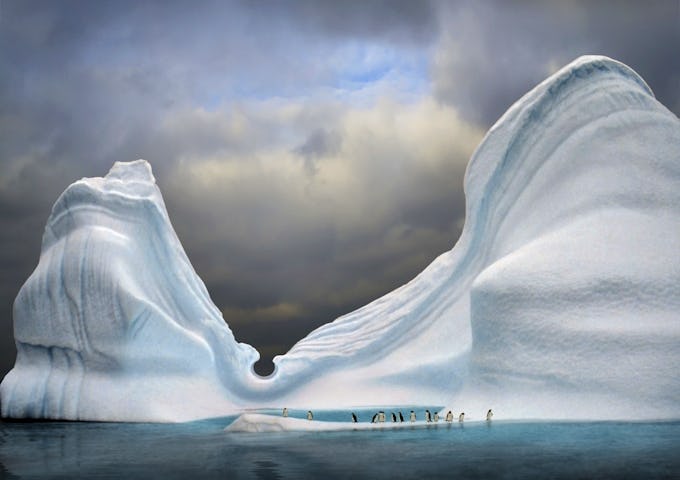 Penguins among icebergs, Antarctica