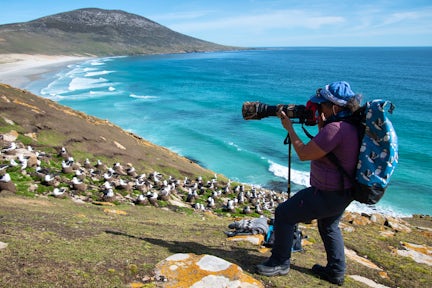 A wildlife photographer takes her shot at Saunders Island (the Neck in the Falklands. In the background is a rockhopper penguin colony and a long beach with blue sea