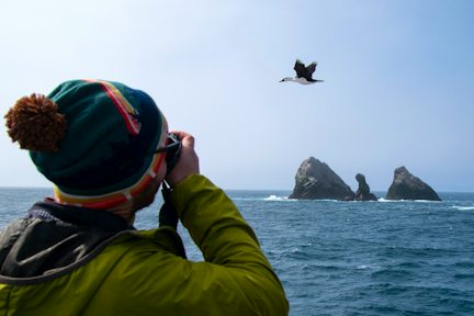 Shag Rovcks Shag Rocks, South Georgia | Swoop Antarctica