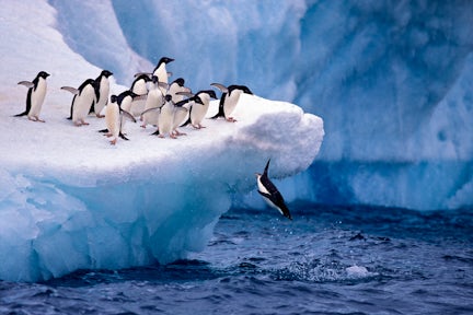 Photography in Antarctica