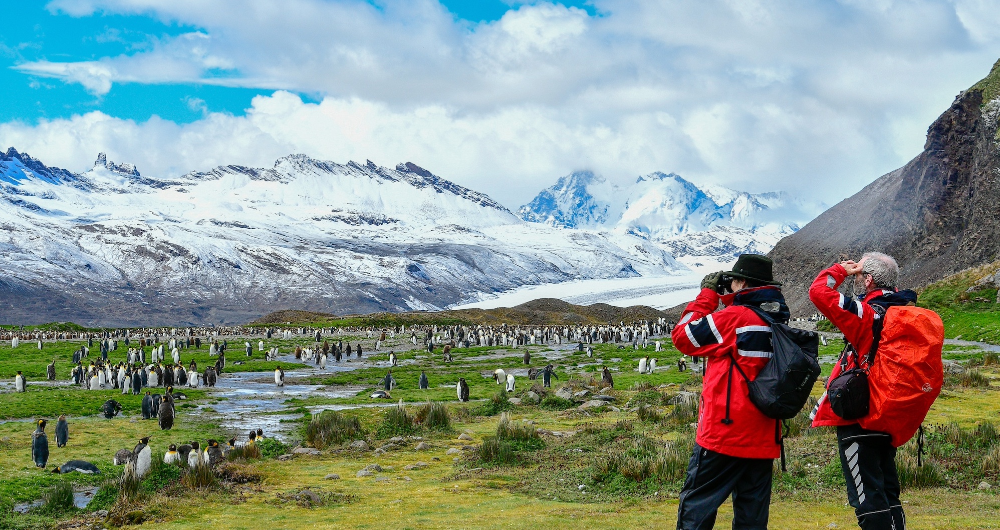 Travellers look out across hundreds of penguins in Fortuna Bay, South Georgia