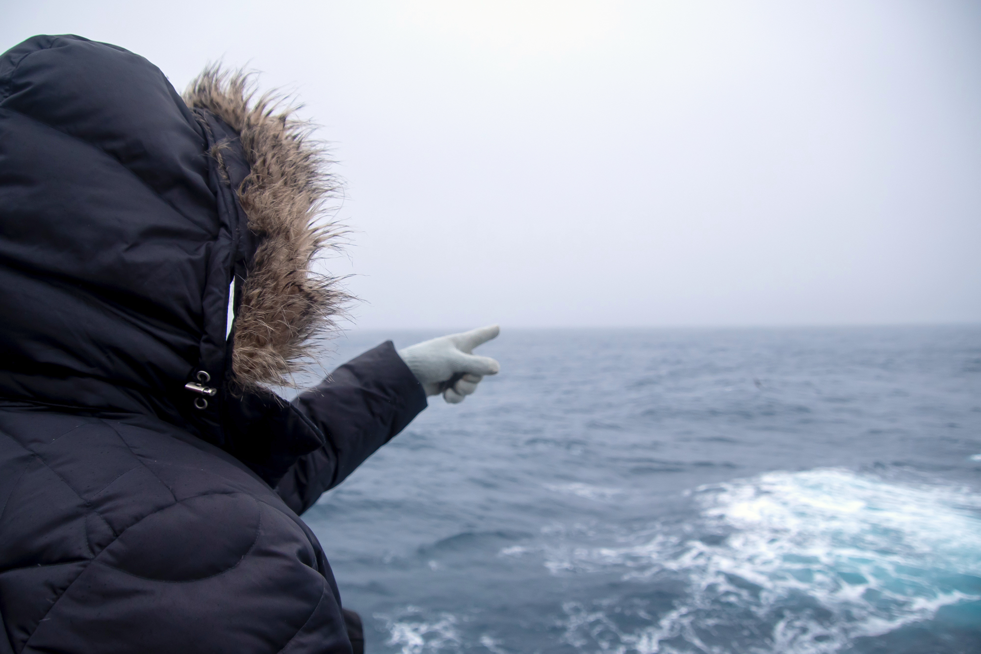 Tourist looking out over the Drake Passage