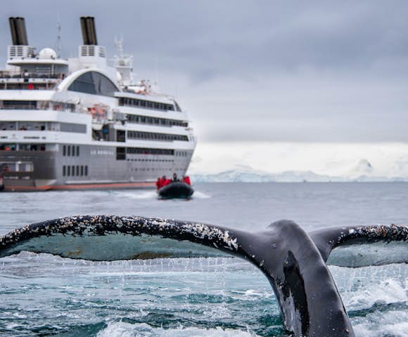 Watching whale flukes from Le Soleal cruise ship in Antarctica