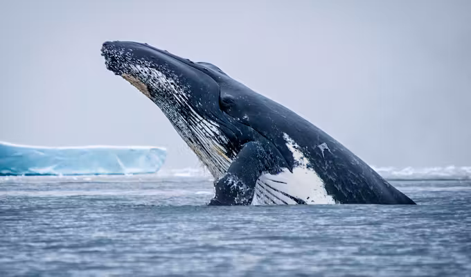 Heart of Antarctica