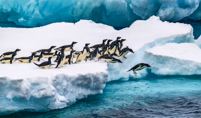 Luxury Weddell Sea Explorer