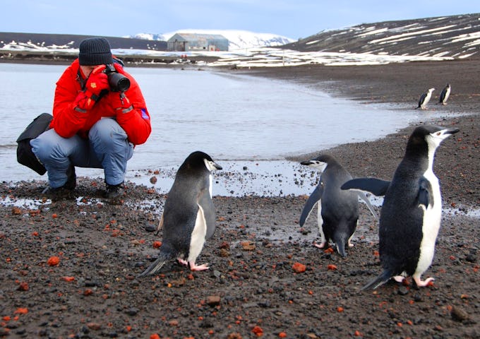 Photography Tours South Georgia