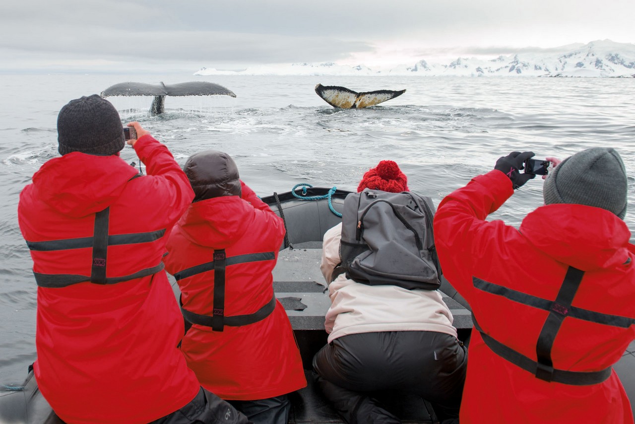 Cruise to the Antarctic Peninsula