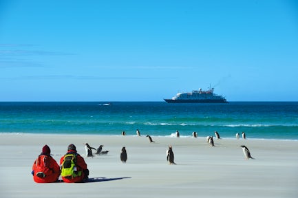 Two tourists sit o the beach with gentoo penguins, looking at the Sea Spirit Antarctic Vessel, Falkland Islands