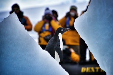 Fly To Antarctica & Cruise Back