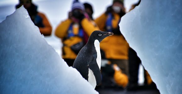 Photography in Antarctica