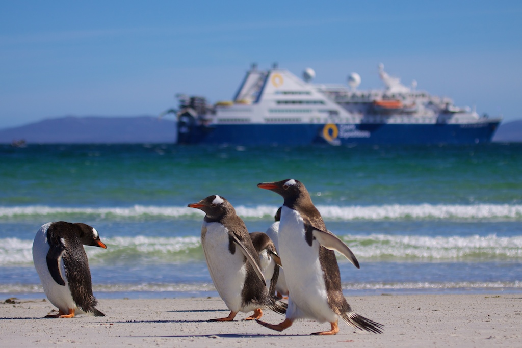 Antarctica, South Georgia & Falklands In Style
