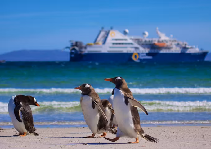 Antarctica, South Georgia & Falklands In Style