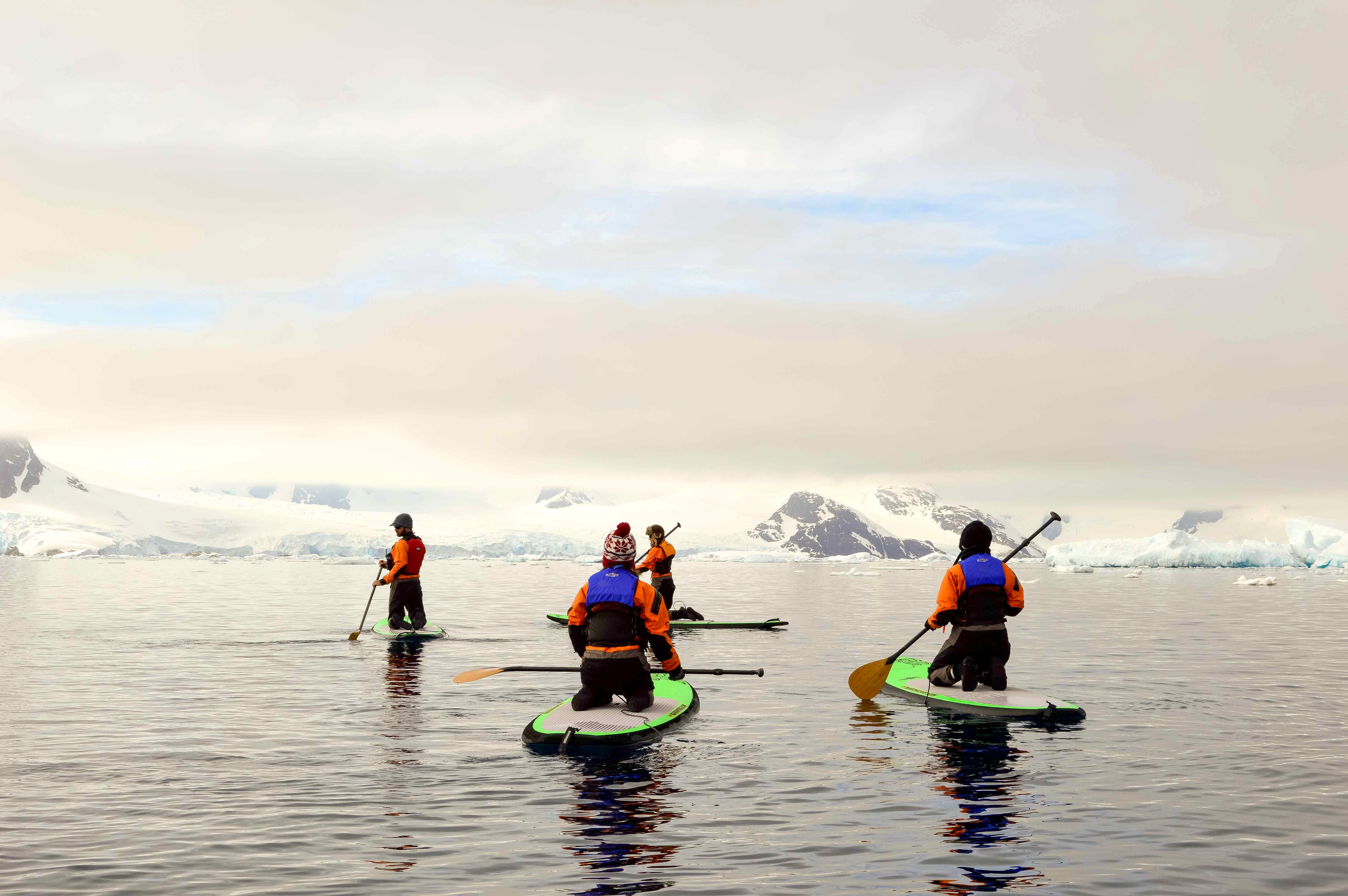 Ultimate Antarctica: South Georgia & Antarctic Circle