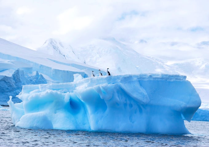 Fly & Cruise Polar Circle