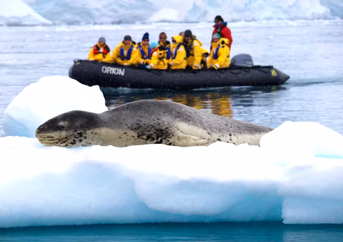 A leopard seal relaxes on an iceberg, Antarctica, zodiac cruise