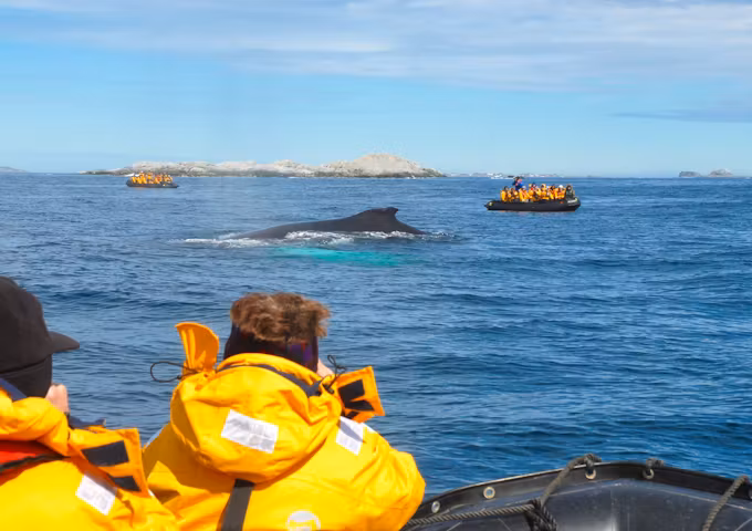 Antarctica, South Georgia & Falklands In Style